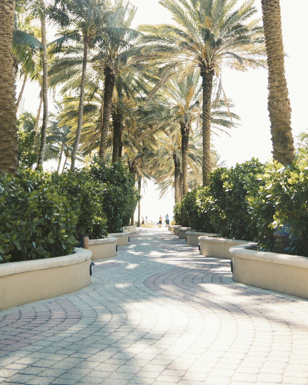 gray concrete outdoor fountain surrounded by green trees during daytime