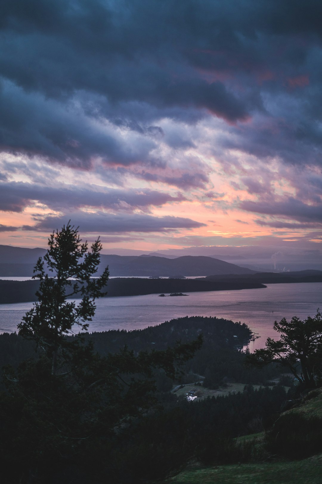 green trees near body of water under cloudy sky during daytime