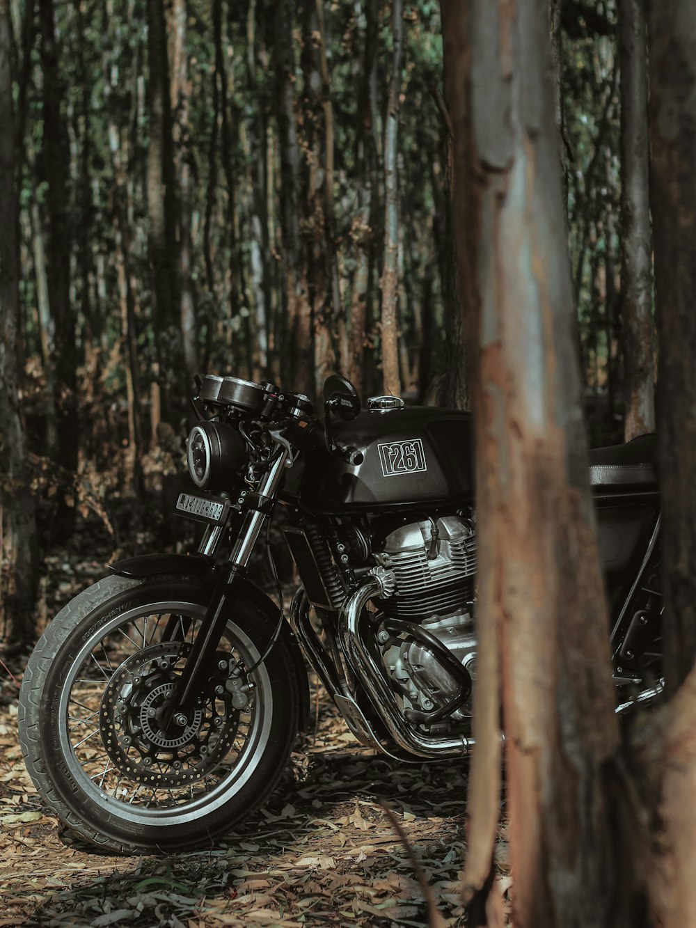 motocicleta preta na floresta durante o dia