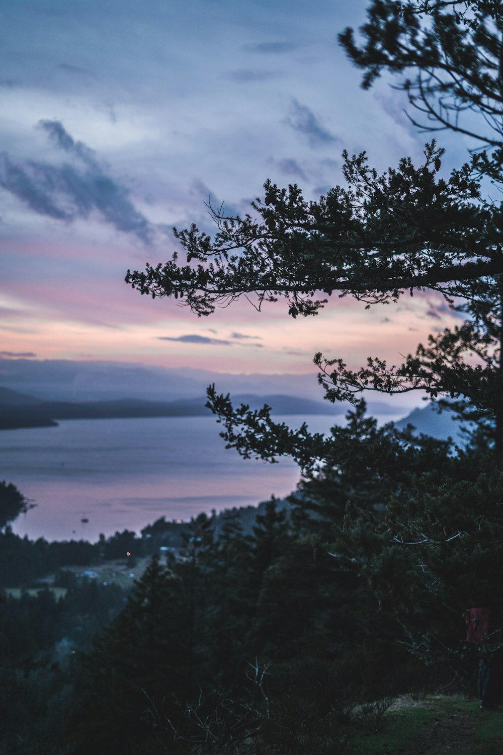 green trees near body of water during sunset