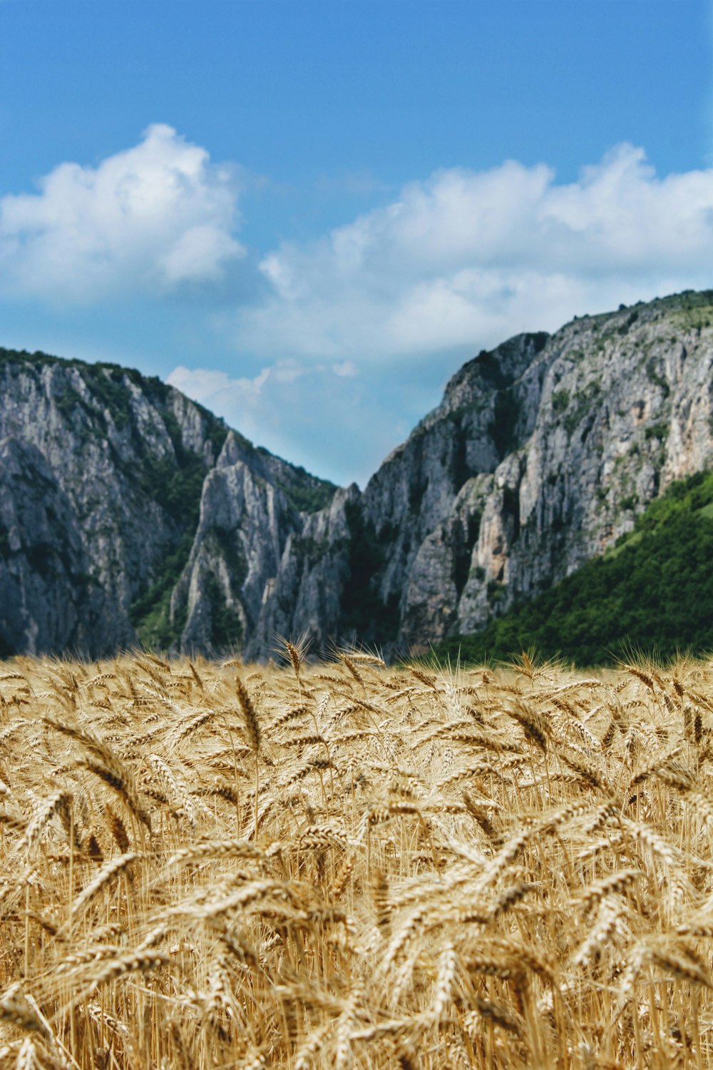 brown grass near gray mountain under white clouds during daytime