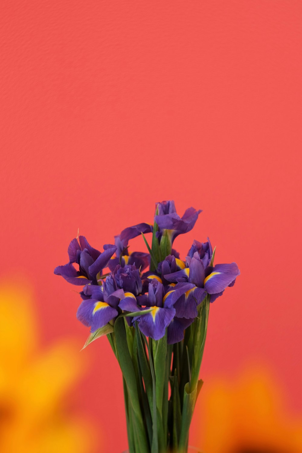 blue flowers in a yellow background