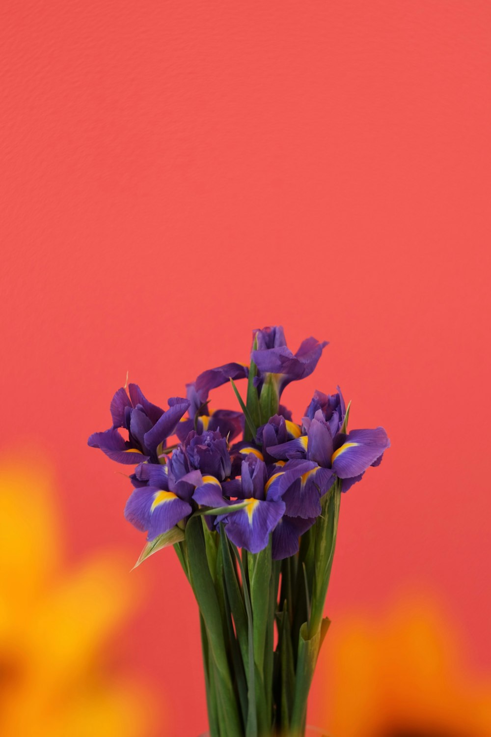 flores azules sobre un fondo amarillo