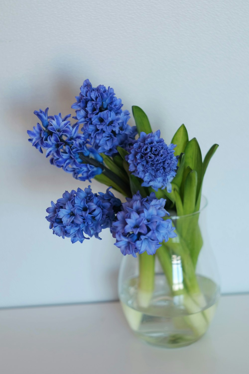 blue flowers in clear glass vase