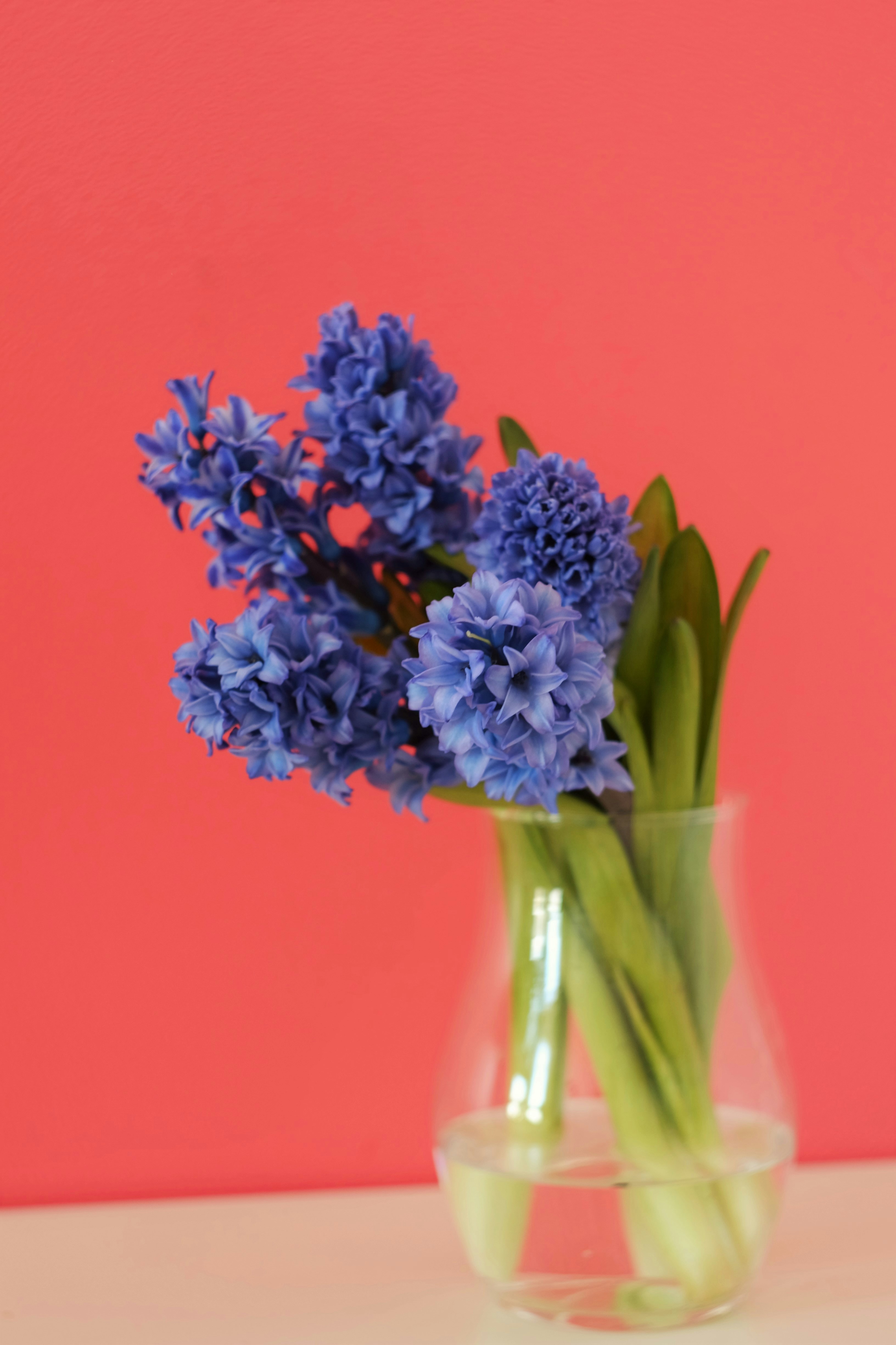 blue and white flowers in clear glass vase