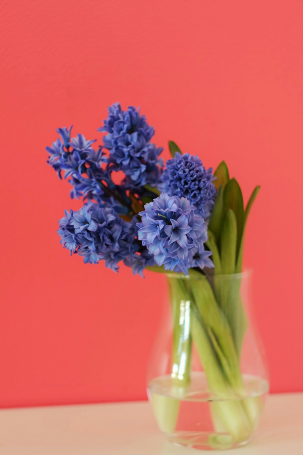 투명 유리 꽃병에 파란색과 흰색 꽃