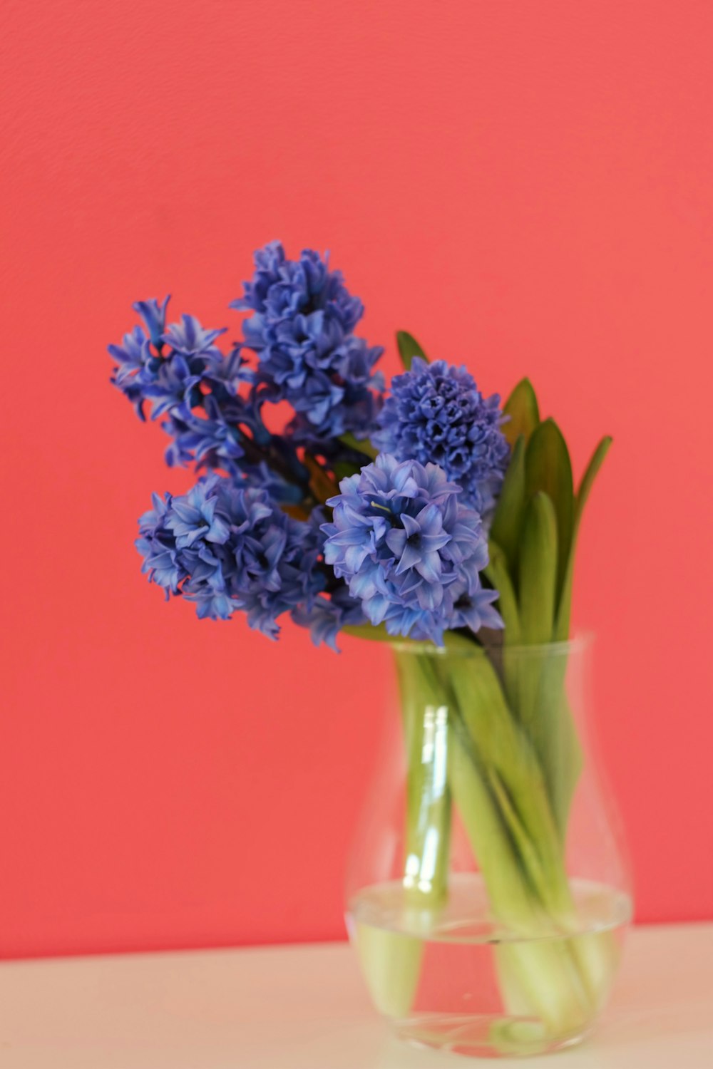 blue and white flowers in clear glass vase