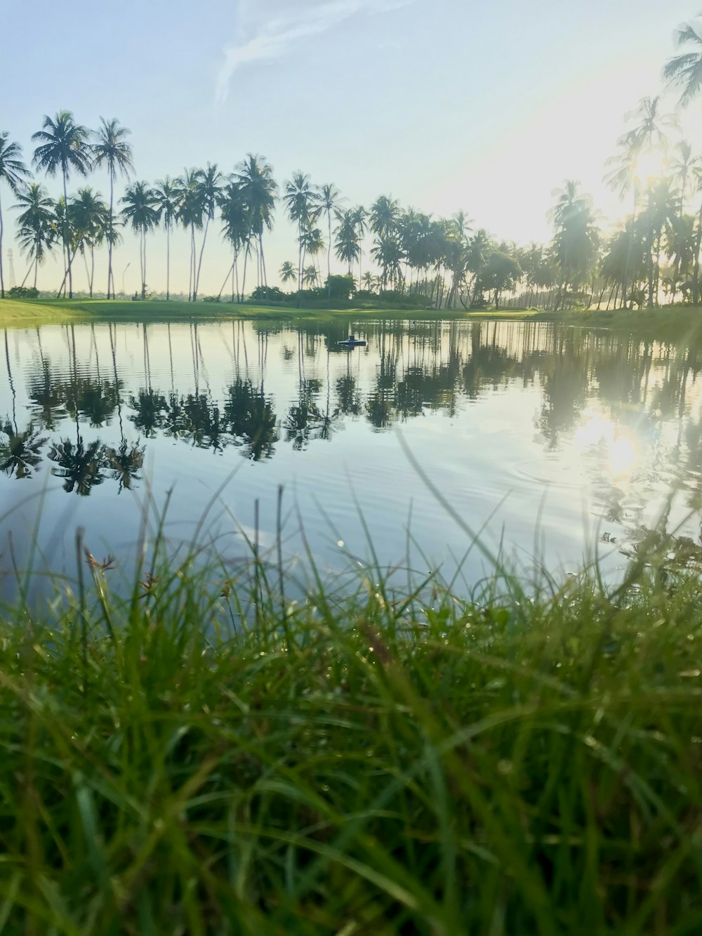 green grass near lake during daytime