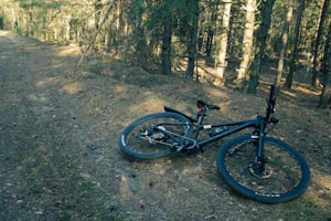 Trail Blazer
