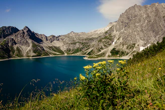 blue lake surrounded by green plants and gray mountains during daytime