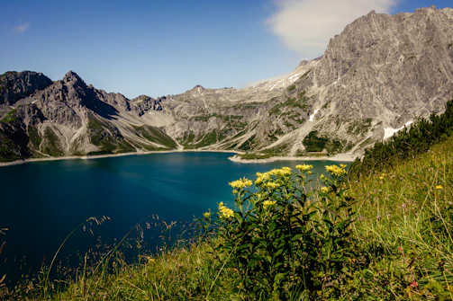 blue lake surrounded by green plants and gray mountains during daytime