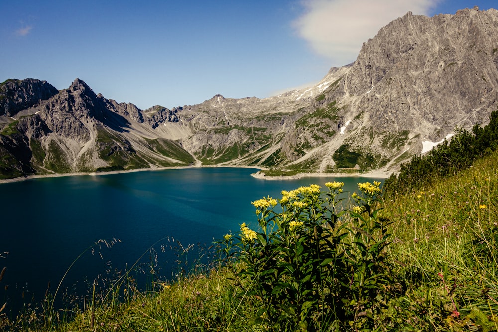 Blauer See, tagsüber umgeben von grünen Pflanzen und grauen Bergen