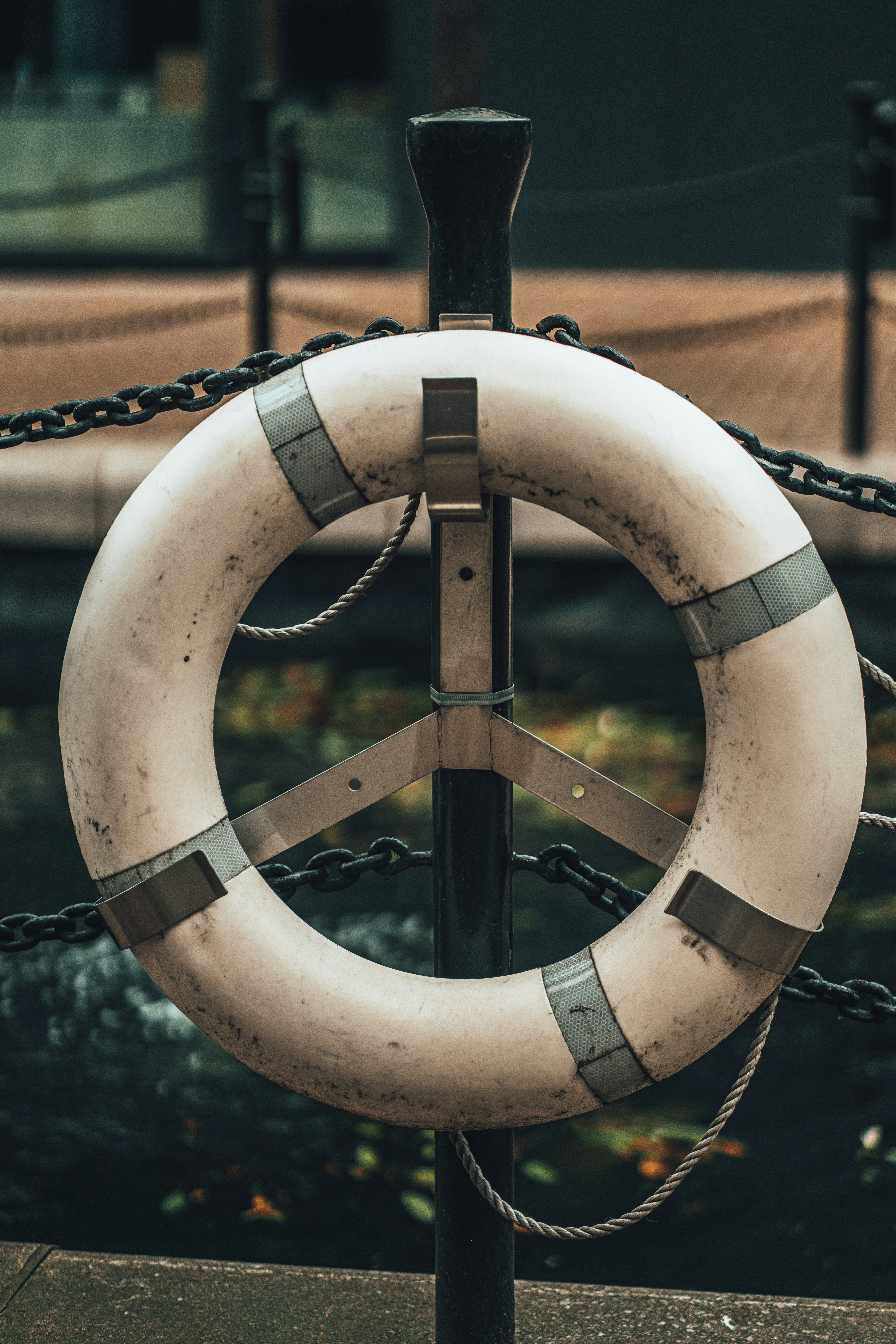 Photo by orangetiephotography