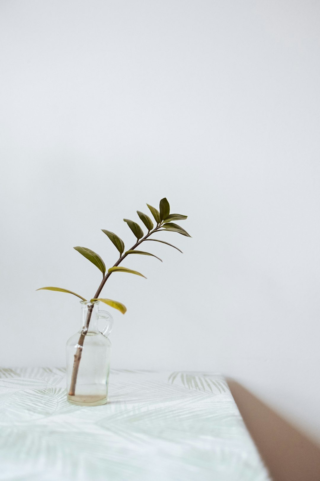 green plant in clear glass vase on white table