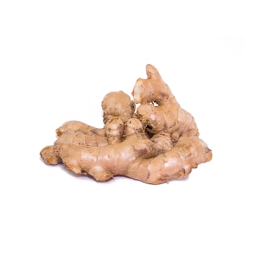A fresh piece of ginger root with a rough, textured surface and a light brown color, resting on a plain white background.