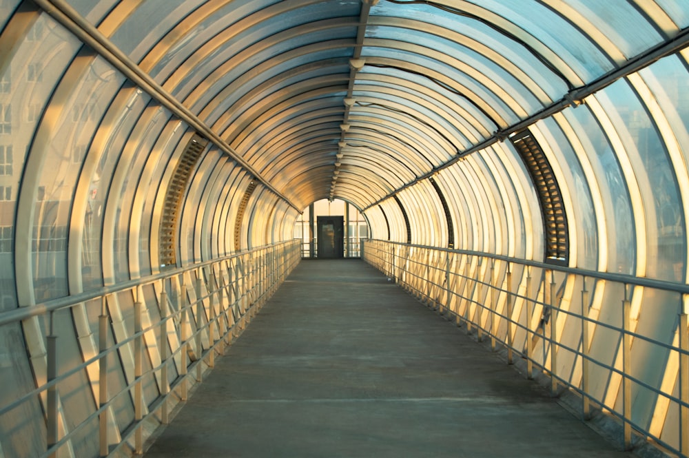 túnel de madeira marrom com telhado de vidro