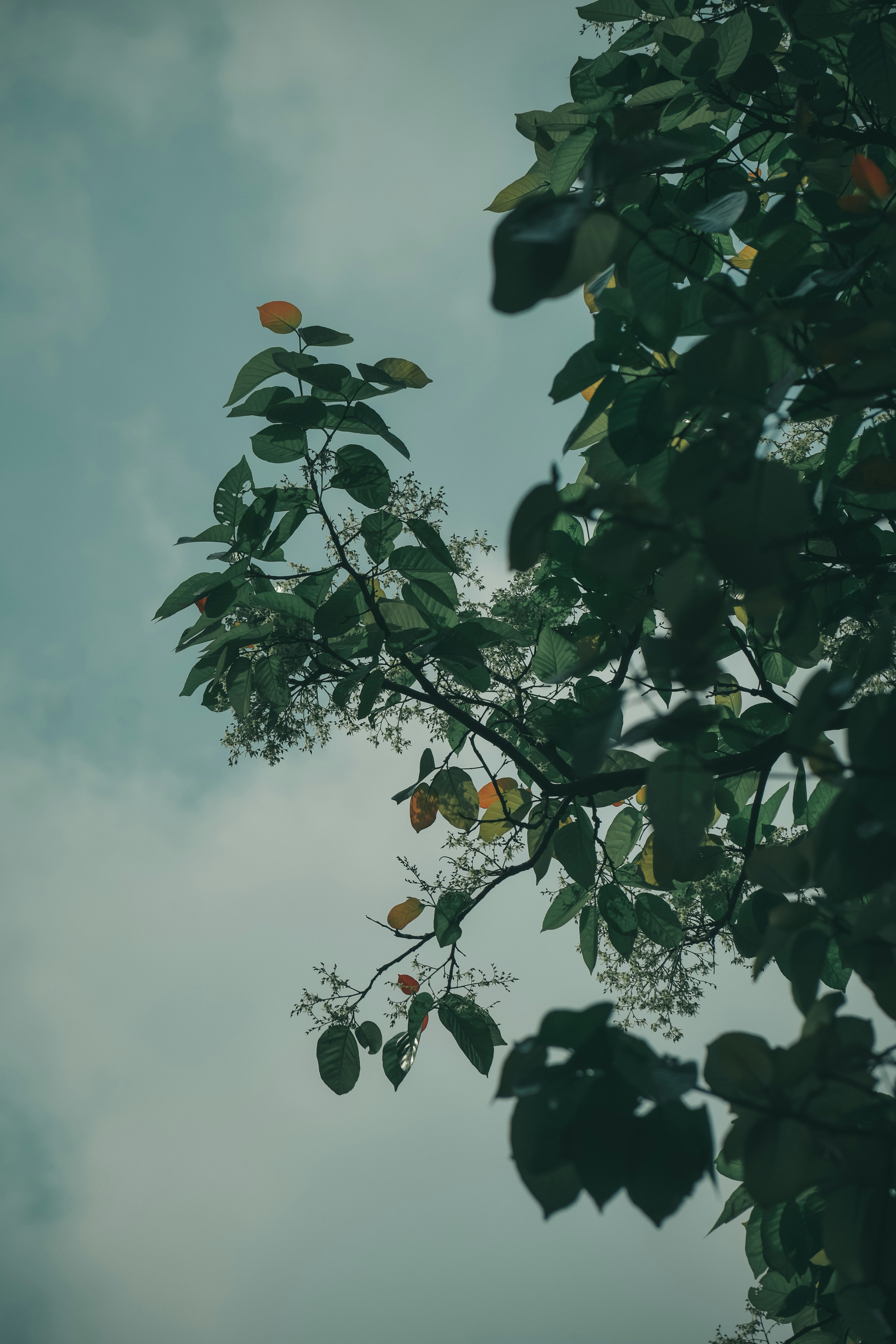 Photo by baraikshivam22