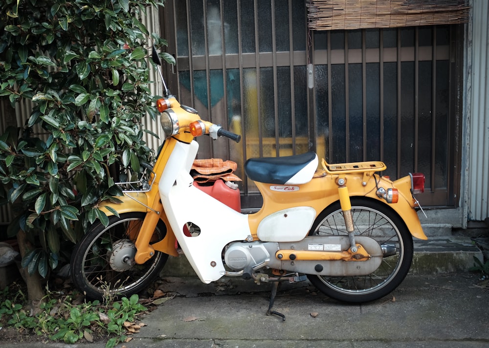 orange and white motor scooter parked beside green plants