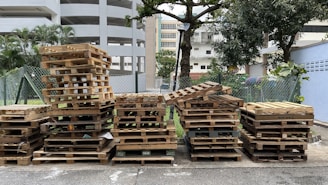 A collection of wooden pallets is neatly stacked on the side of an urban street. The pallets are arranged in columns, some taller than others, against a backdrop of a multi-story parking structure, trees, and a chain-link fence. There are green plants on the left and a tree overhanging on the right side of the scene.