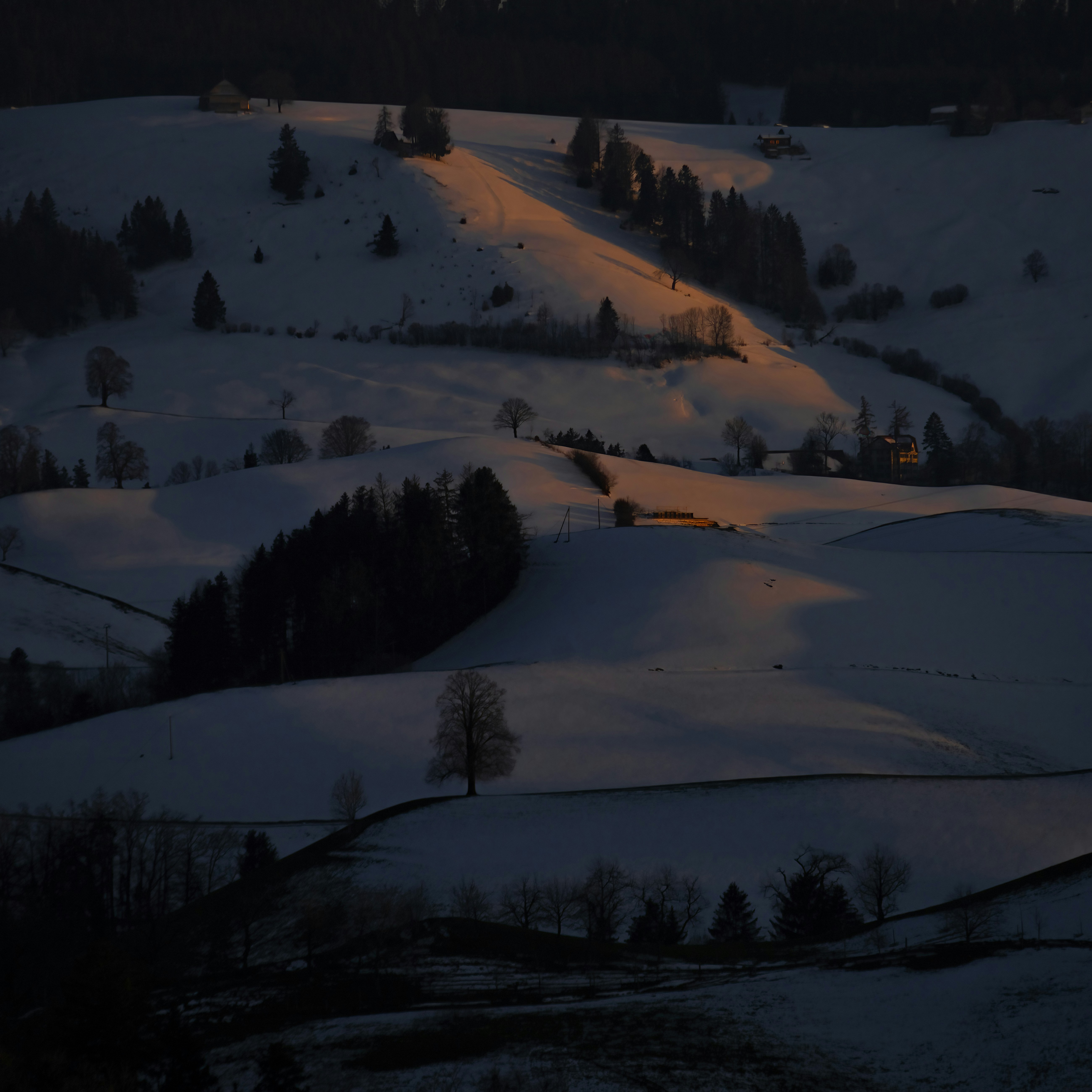 Snowy Hills with Lone Tree