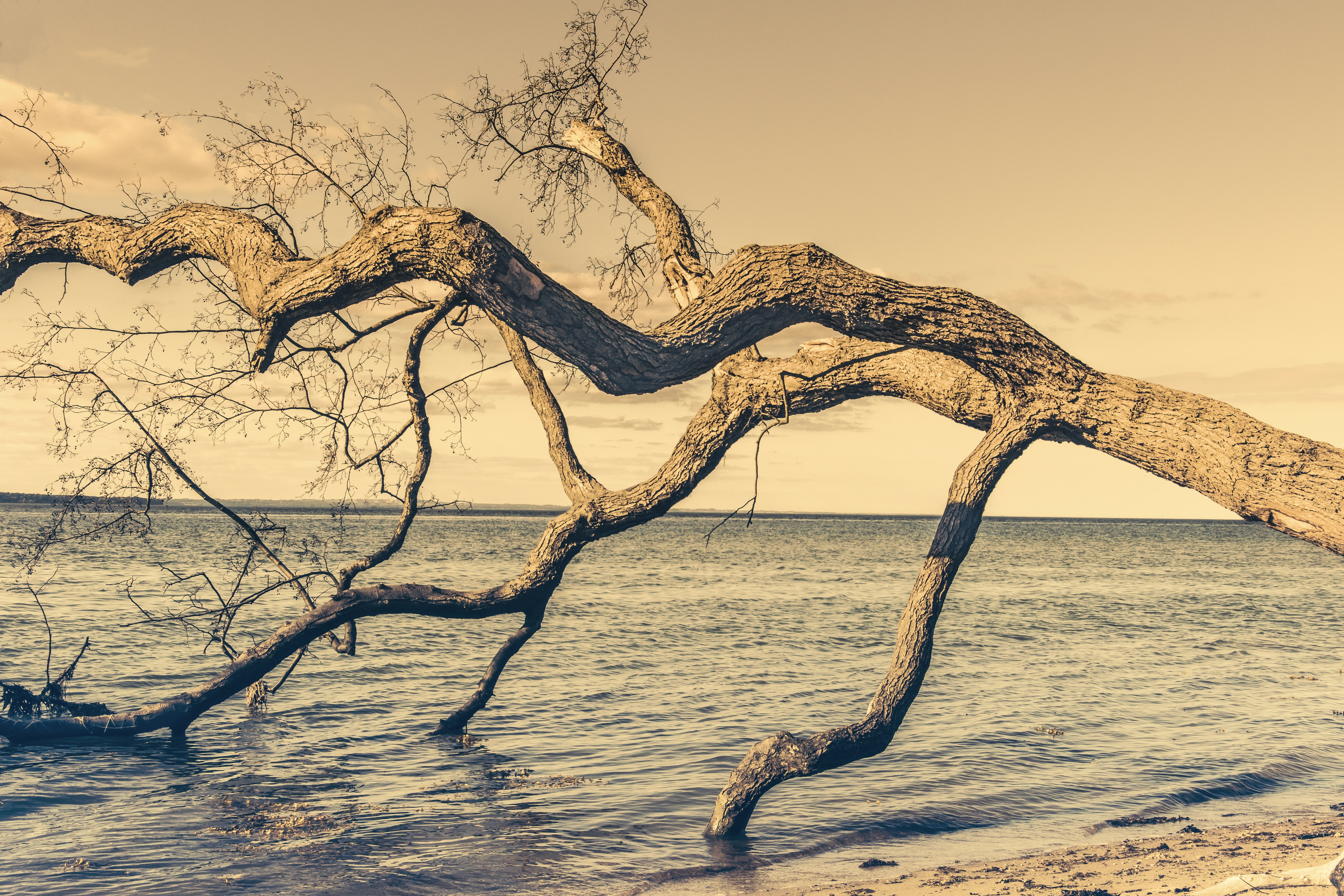 Photo by mascapone31