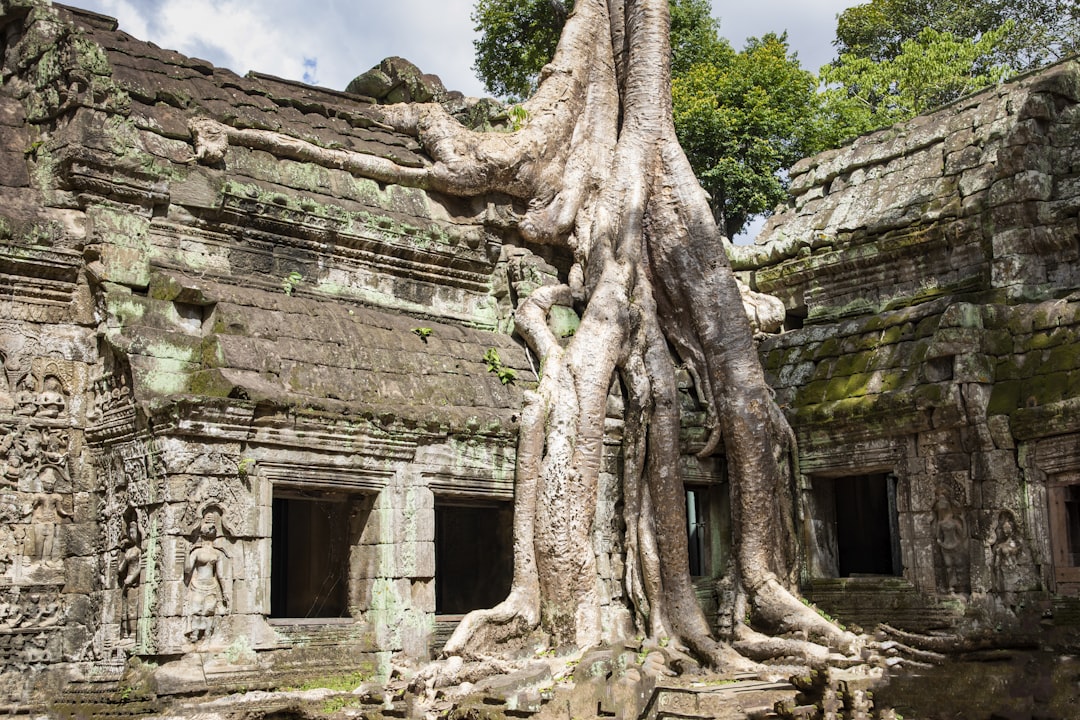 Exploring Thailand's Hidden Gems 7 Scenic E-Bike Tours for Leisurel… — Exploring Thailand's Hidden Gems 7 Scenic