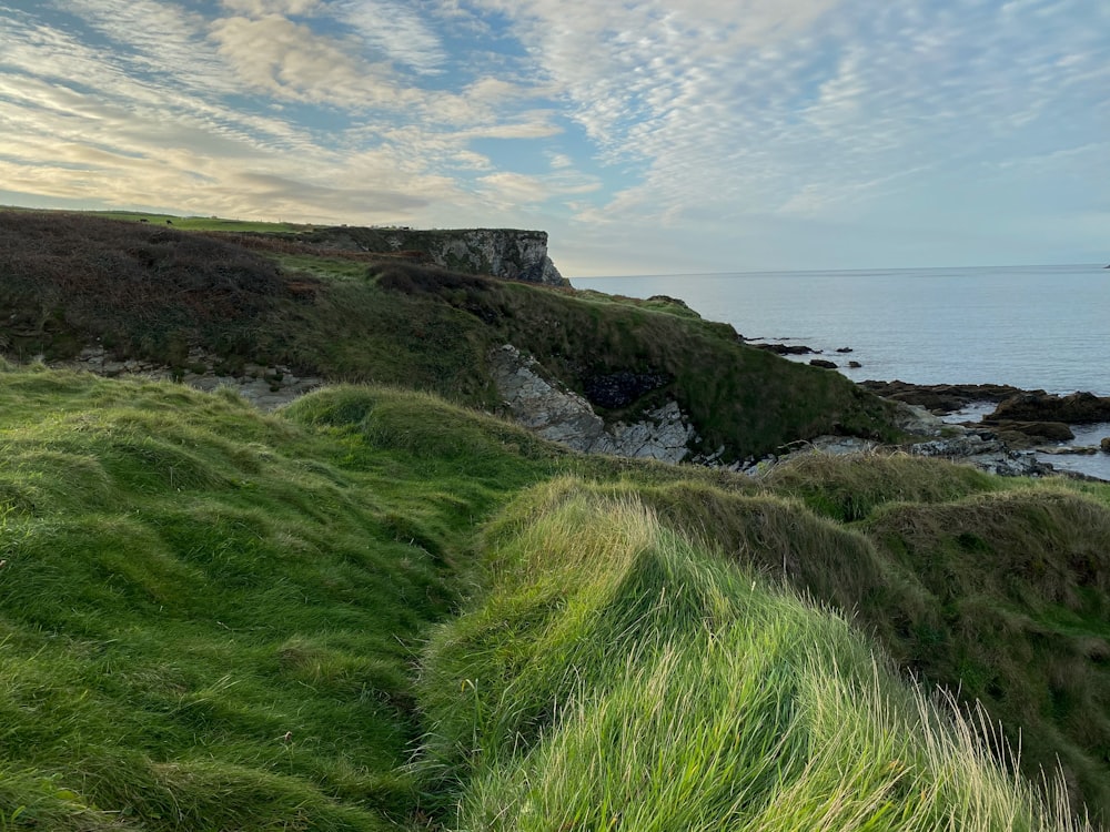 green grass field near body of water during daytime