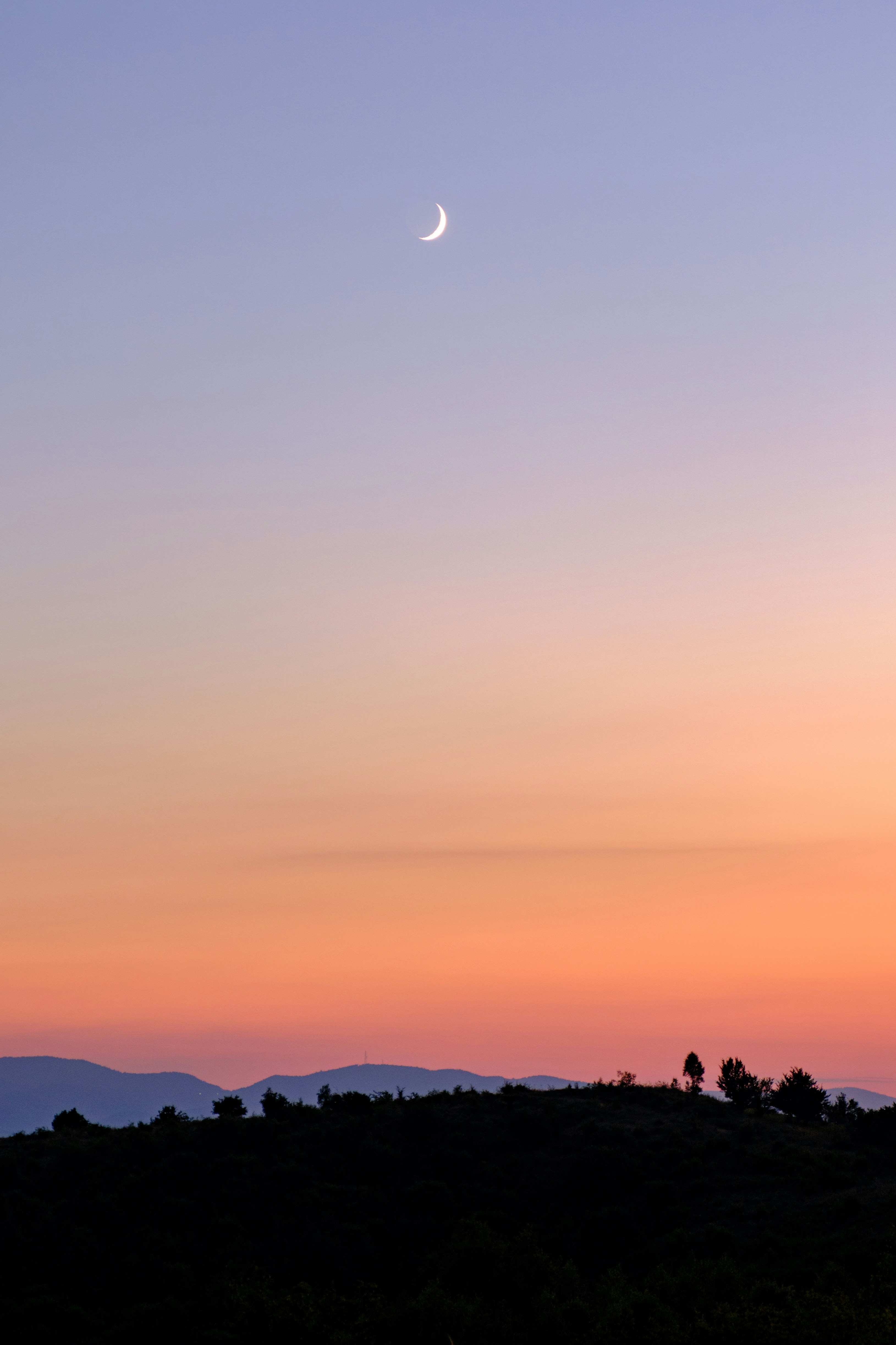 Photo by fototeca