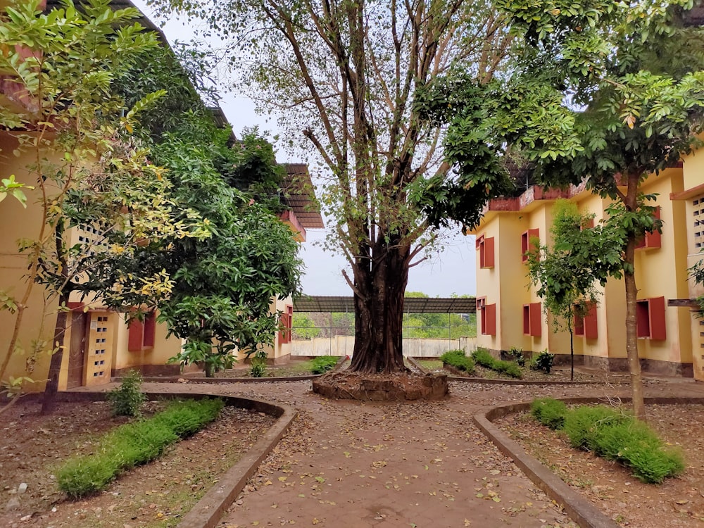 green trees near yellow concrete building during daytime