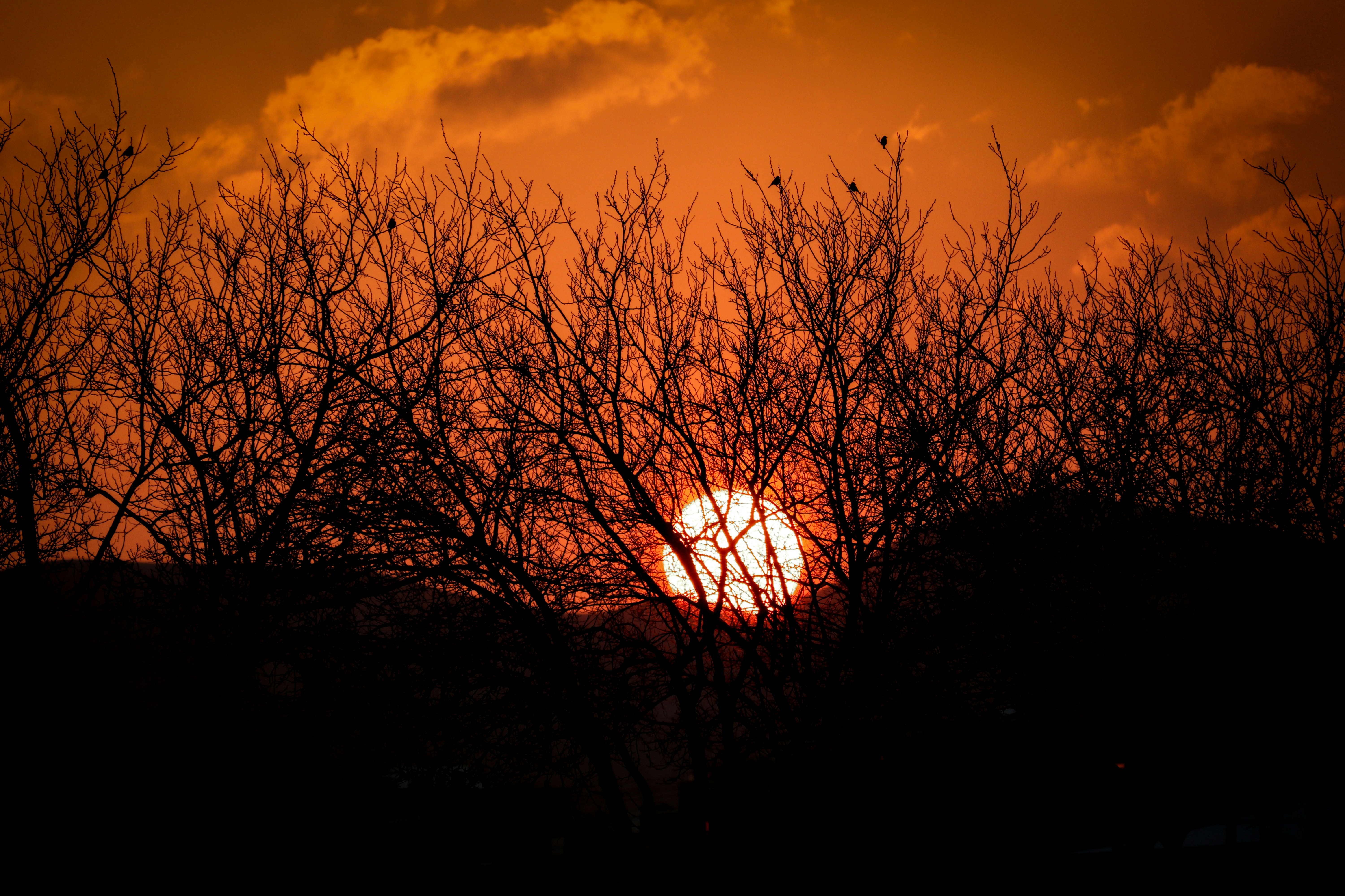 Photo by sinabahar76