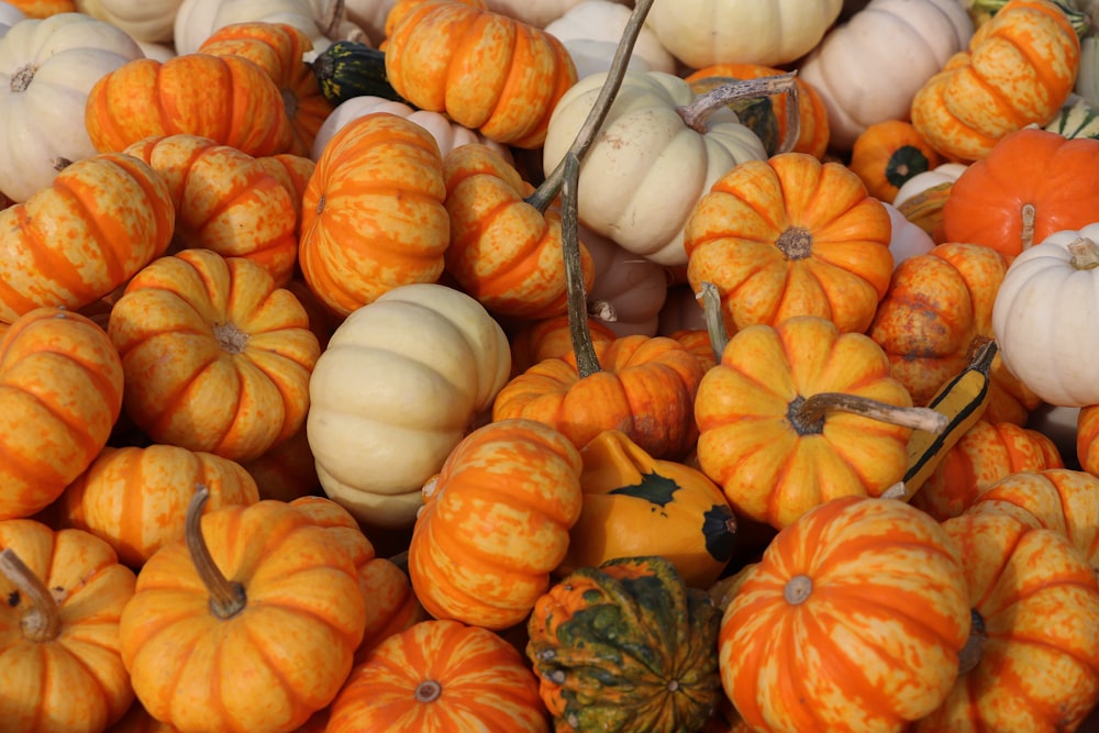 orange and white pumpkins on brown wooden stick