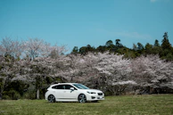The Ioniq 5 parked beside a field of blooming Normandy apple trees in spring.