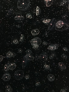 A serene underwater scene featuring a glowing jellyfish drifting gracefully among soft ocean currents.