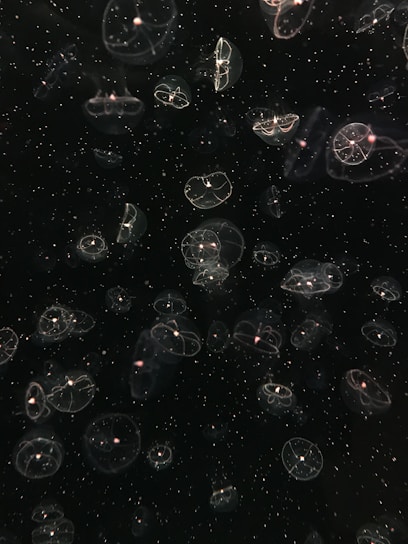 A serene underwater scene featuring a glowing jellyfish drifting gracefully among soft ocean currents.