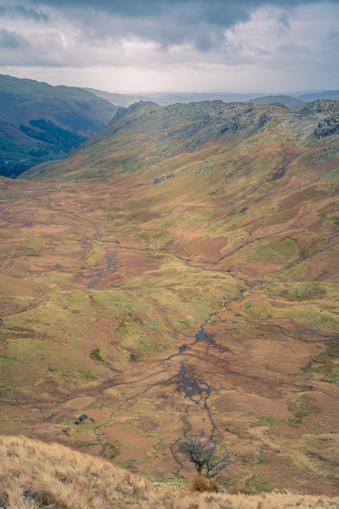 green and brown mountains under blue sky during daytime