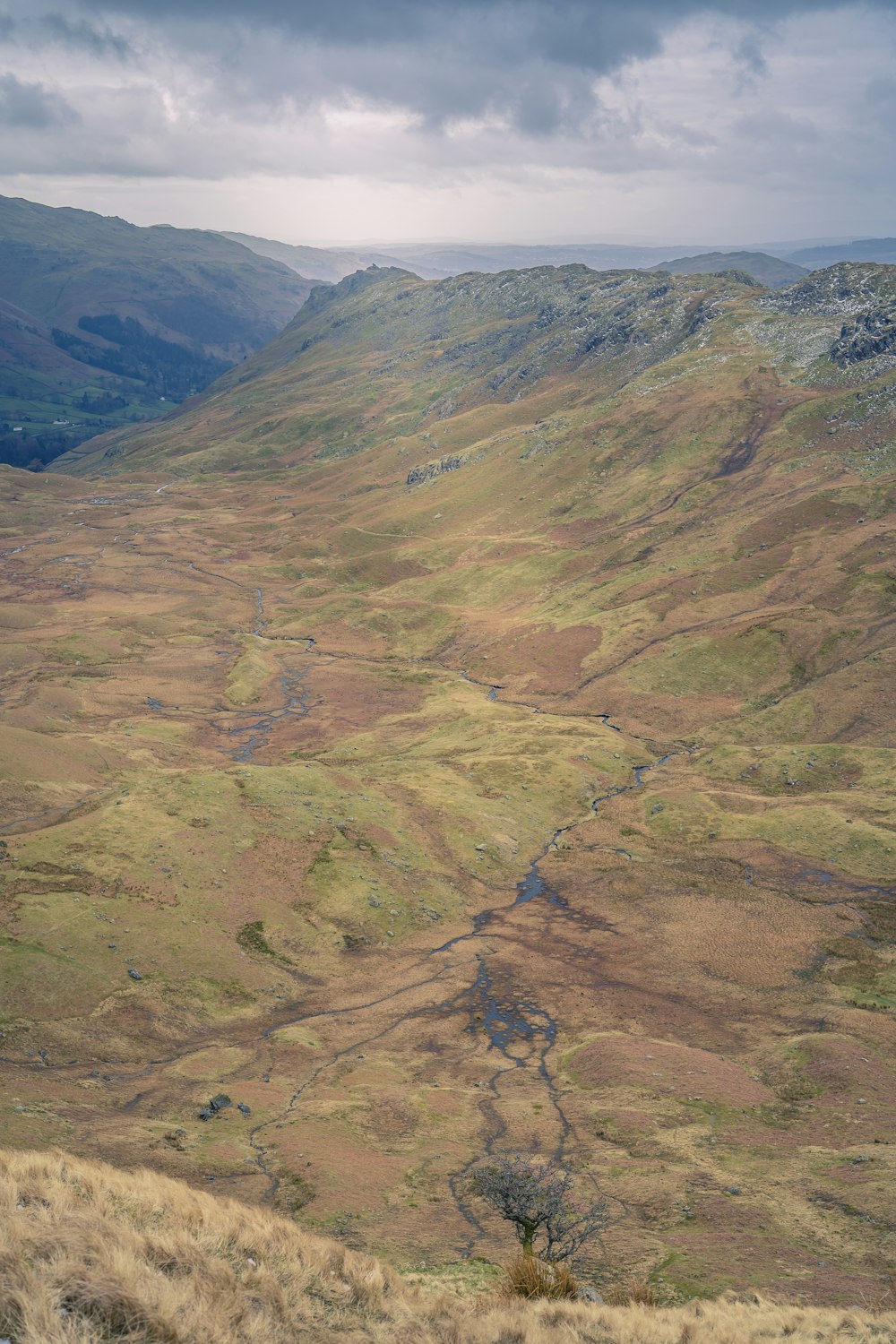 green and brown mountains under blue sky during daytime