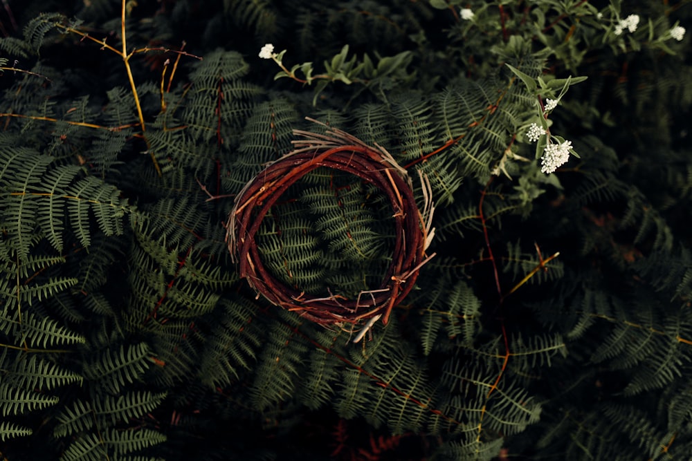 brown and white basket on green leaves