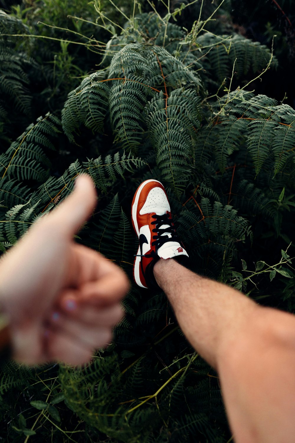 person in black white and orange nike sneakers standing on green fern plant