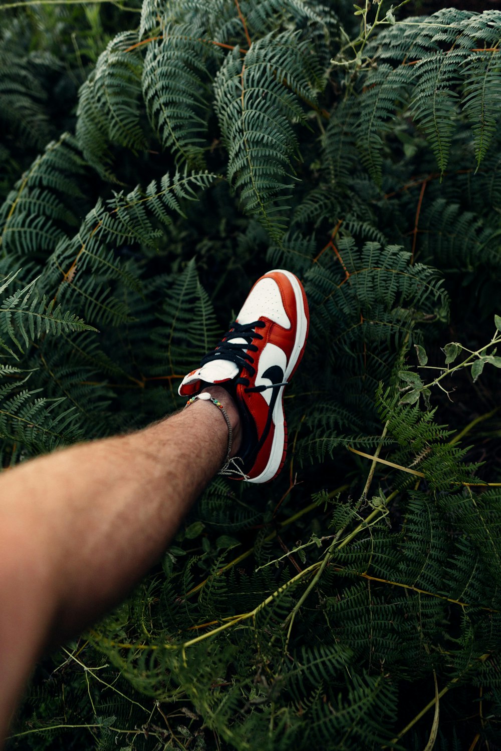 Foto Persona con zapatillas nike negras, blancas y rojas – Imagen Dunk  chicago gratis en Unsplash