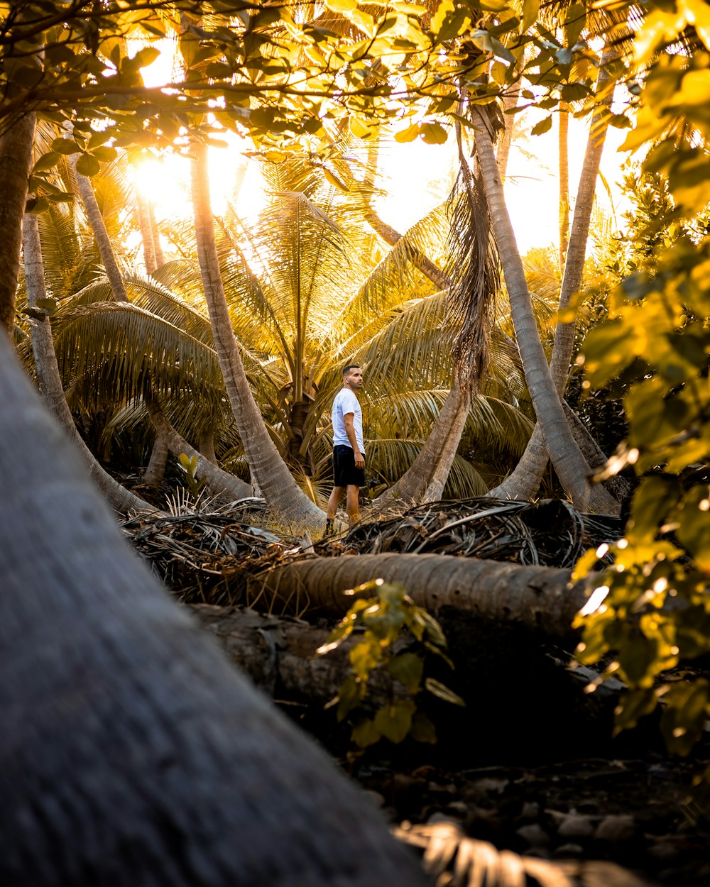 man in black jacket standing on tree log during daytime