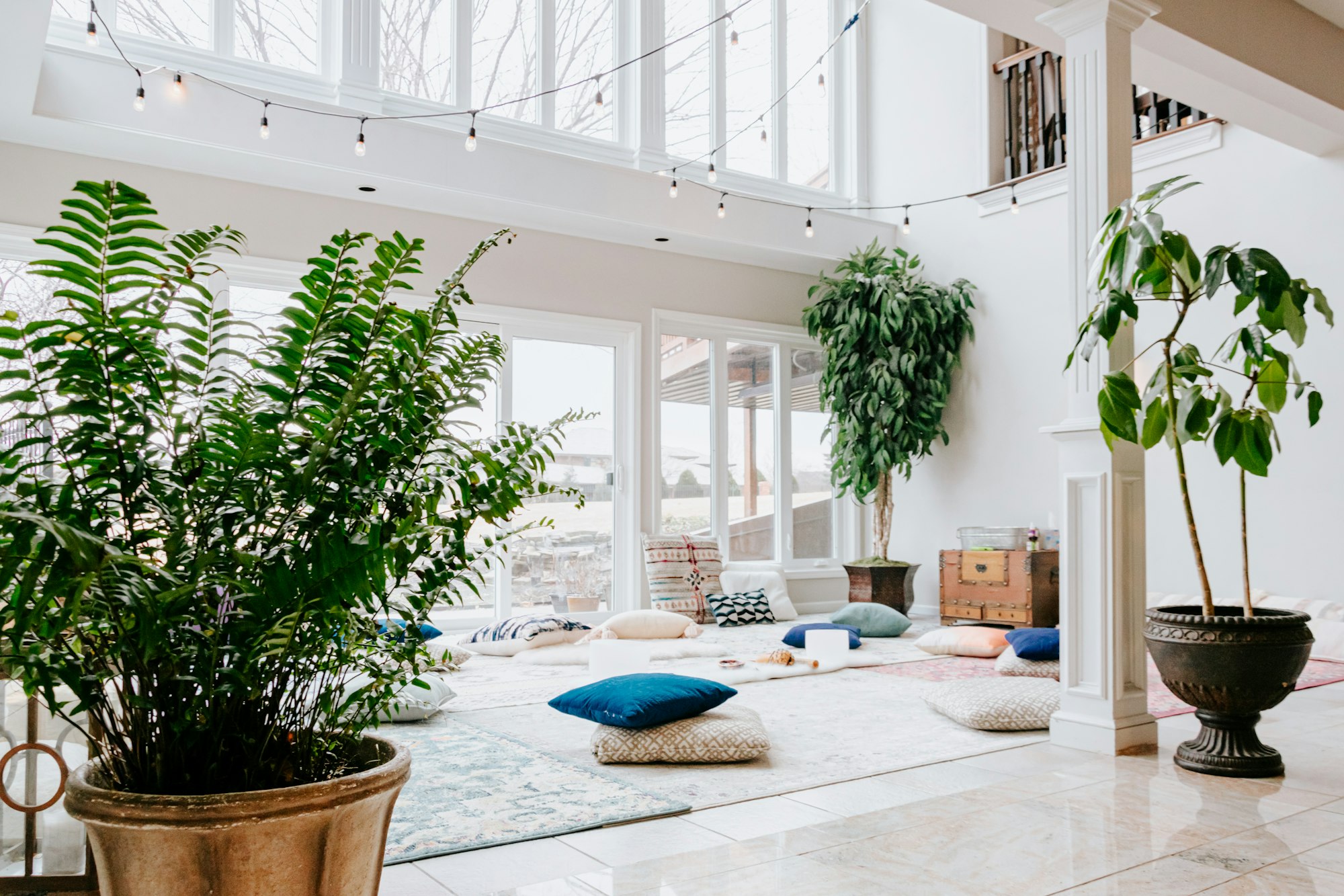 Big white room with 3 large plants, rugs and cushions on the floor. Glass windows floor to ceiling.