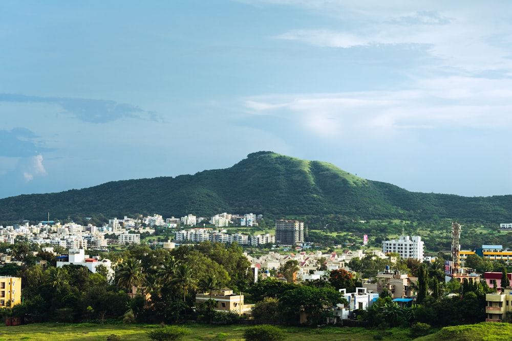 city buildings on green mountain during daytime