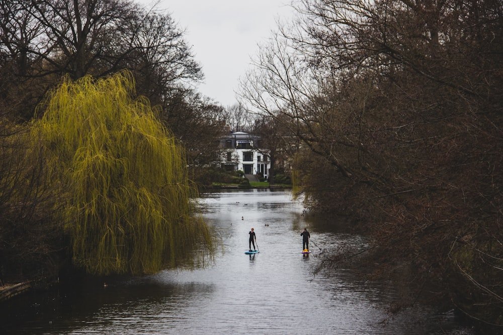 2 person walking on river between trees during daytime