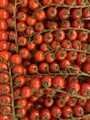 red tomatoes in close up photography