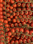 red tomatoes in close up photography