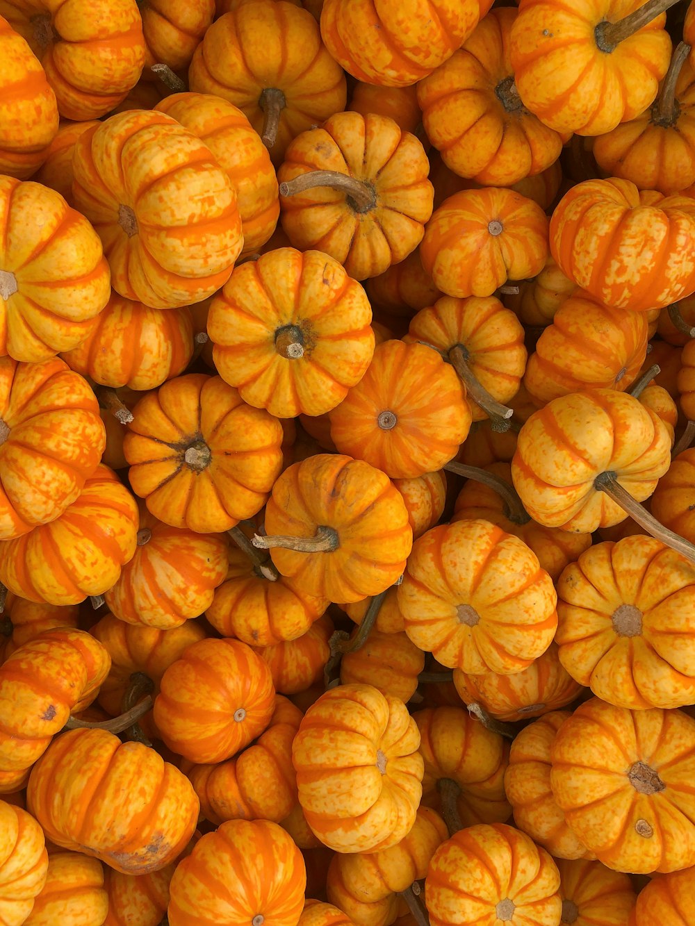 orange pumpkins on brown wooden table