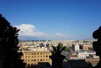 A plot of land with clear blue skies and a distant view of city buildings.