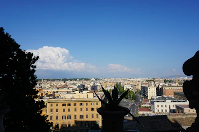 A plot of land with clear blue skies and a distant view of city buildings.