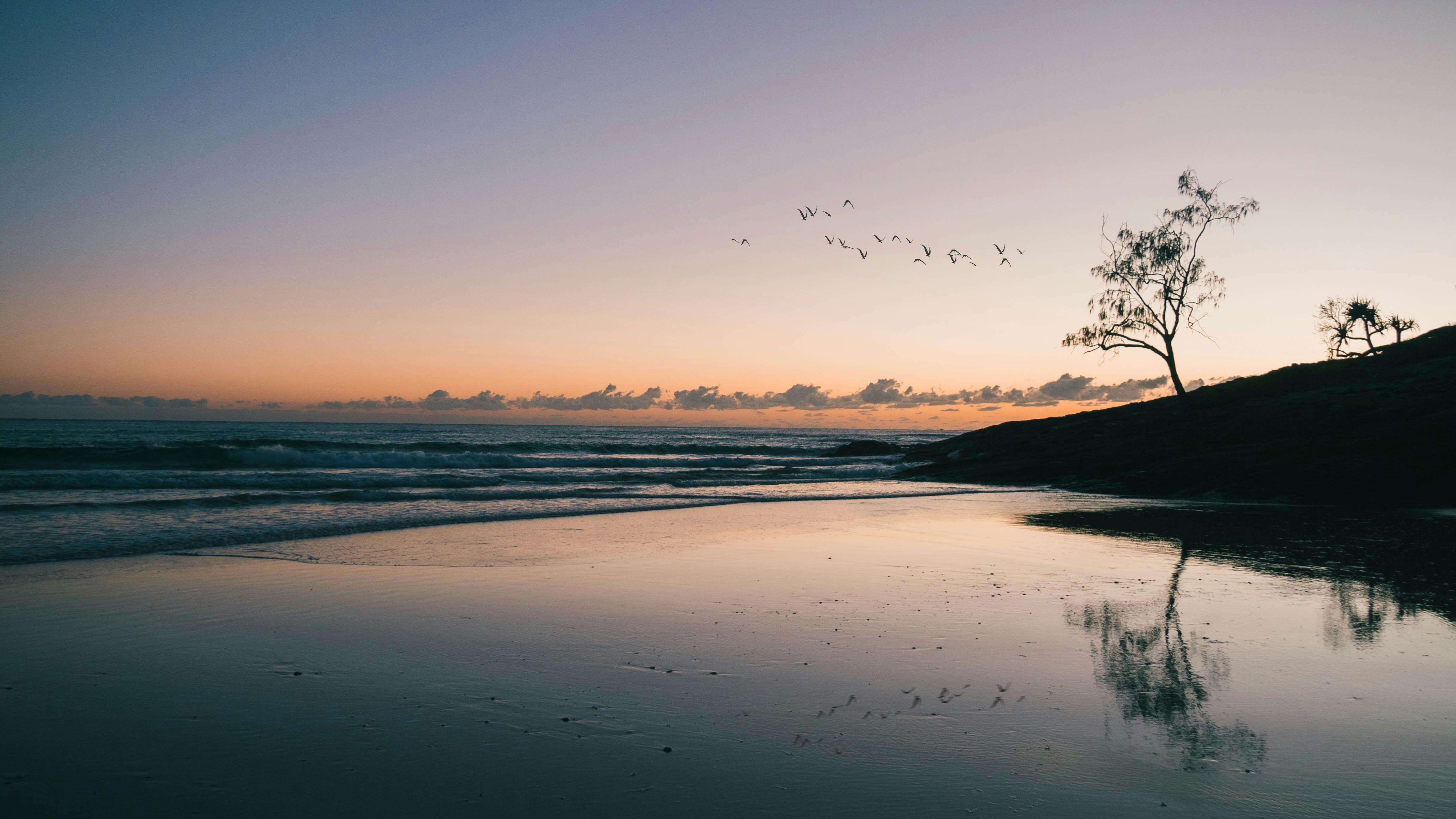 Photo by synphonetic