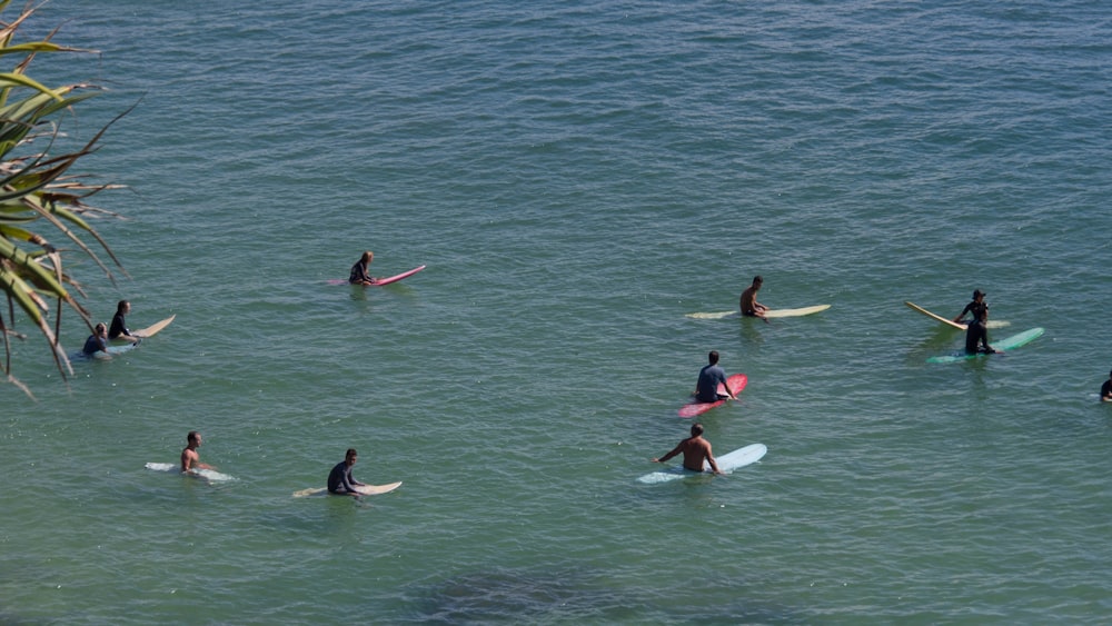 3 people in body of water during daytime